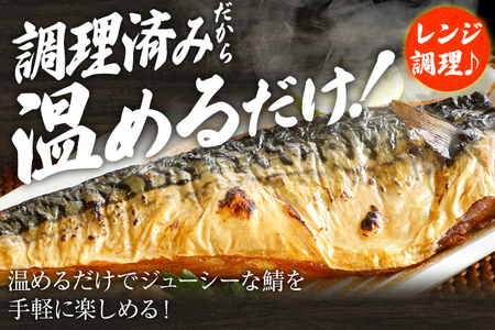鯖 2枚×4P（約1kg） 塩焼鯖