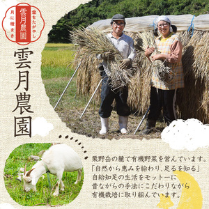 《数量限定》薬膳味噌(ハトムギ味噌)(計800g・400g×2パック) 味噌 麦味噌 自家栽培 ハトムギ 玄米麹 ハトムギ麹 麦麹 麹 こうじ 玄米 大豆 黒大豆 みそ汁 味噌汁 化学肥料不使用 農薬不使用 有機 有機農業 有機肥料【雲月農園】_y456