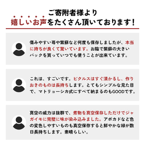 保存容器 真空 スリムボックス S M L セット 保存容器