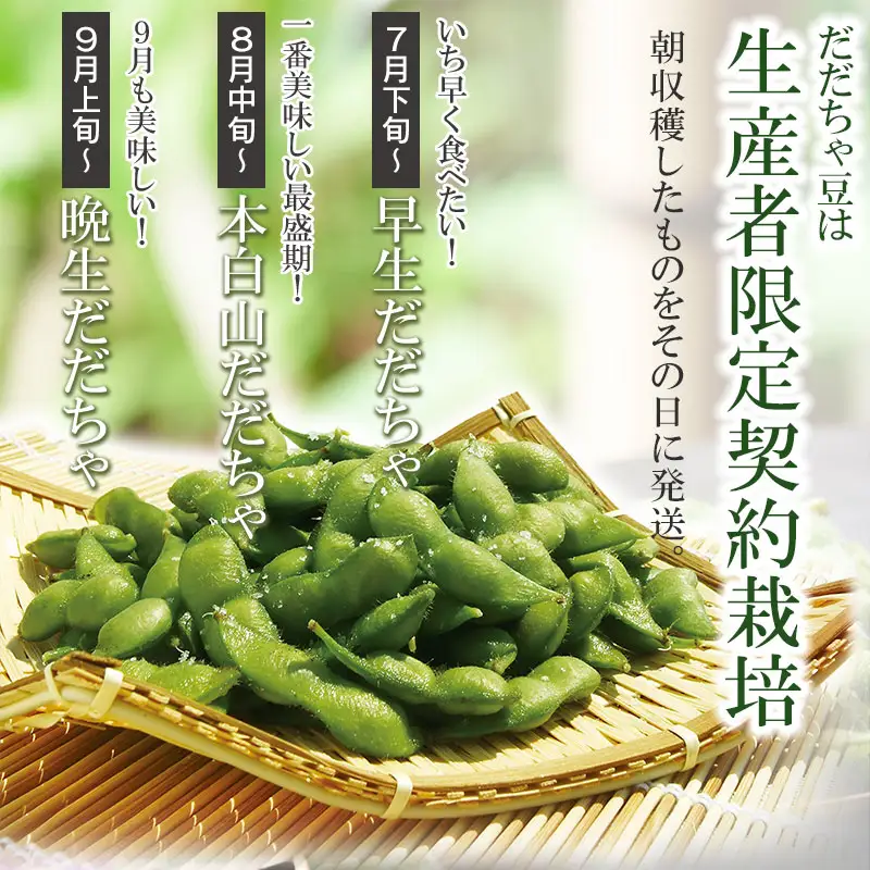 令和8年産　朝採りだだちゃ豆（晩生）700gと小なす丸漬240g（120g×2）セット　庄内観光物産館 | 枝豆 茄子 ナス 漬物 酢漬け 柿酢 特産品 生鮮 野菜 ごはんのお供