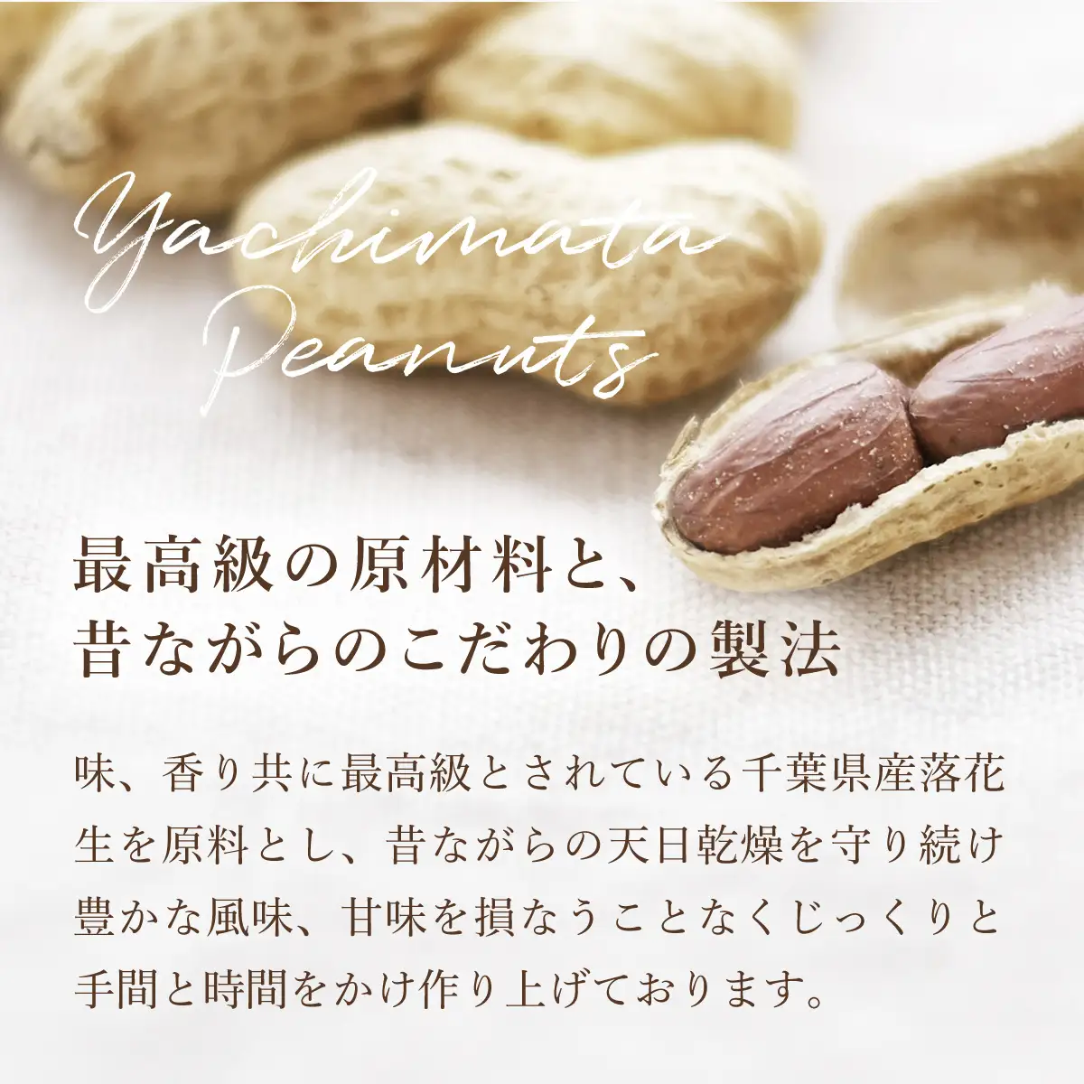 【令和7年産】訳あり はねだし落花生 約1.2kg ふるさと納税 落花生 ピーナッツ ナッツ 豆 訳あり 千葉県 山武市 SME006