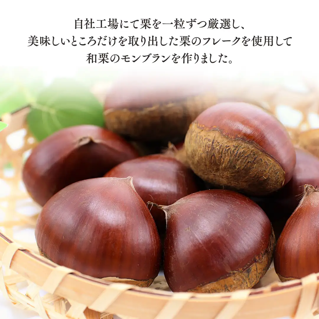 筑波 栗 の プチ モンブラン 約20g × 8個 和栗 和栗ペースト マロン クリーム 菓子 スイーツ オリジナル  洋菓子 和菓子 和スイーツ [EK012sa]