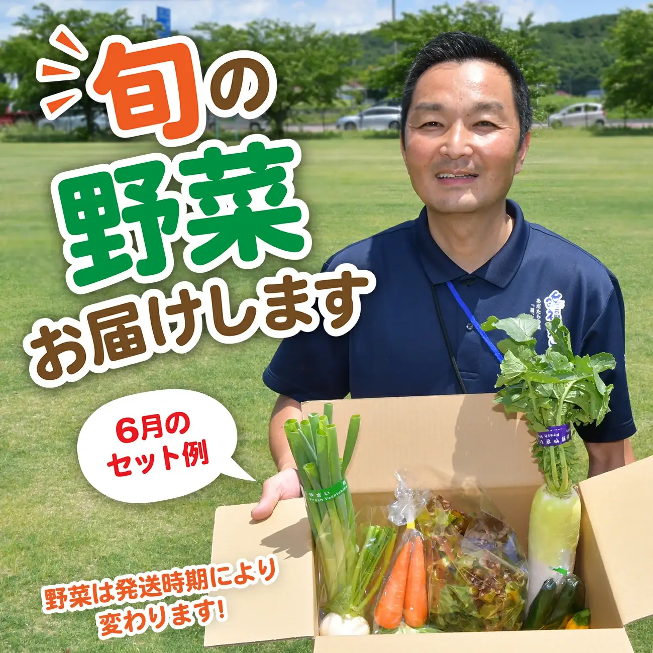野菜セット 野菜 10種類前後 数量限定