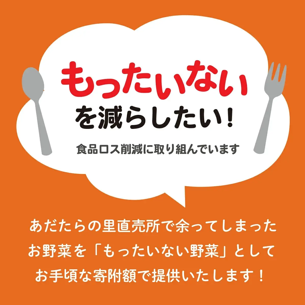 訳あり ご家庭用野菜 5種類程度【準備ができ次第配送】