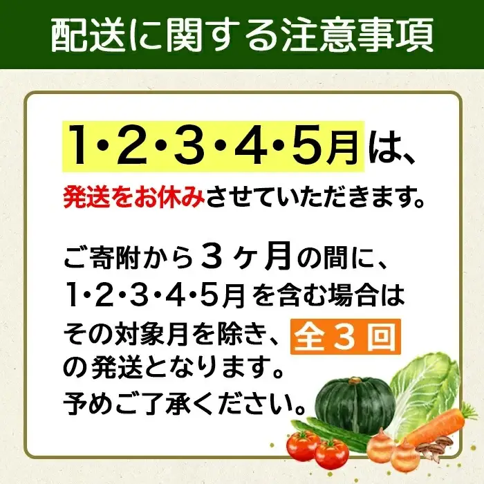野菜セット 10種類前後【先行予約】 野菜