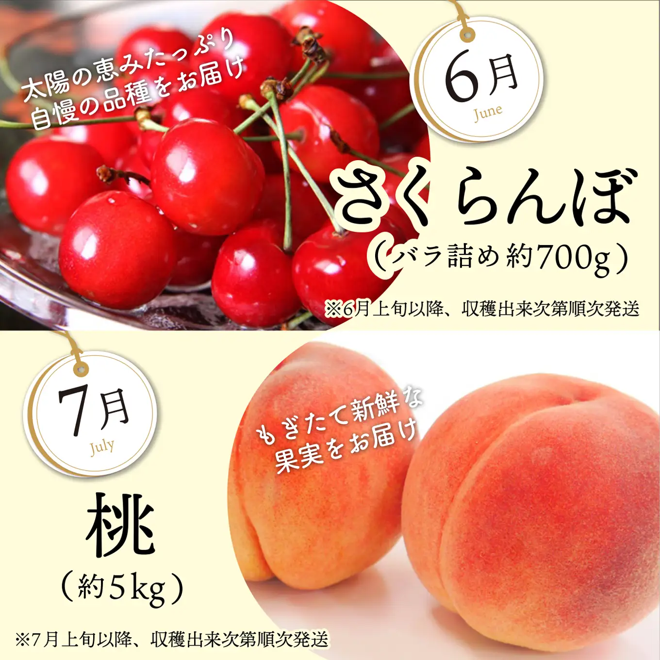 果物 フルーツ定期便 4回 ( さくらんぼ / 桃 / 梨 / りんご )