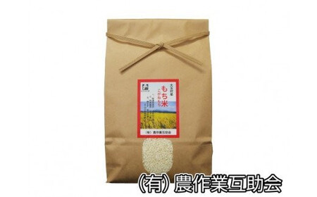 もち米 3kg こがねもち 【 令和7年産 】【 農業生産法人 農作業互助会のお米 】 もち米 もち米 もち米