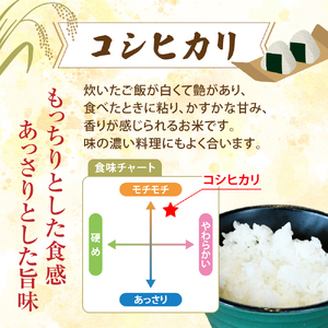 米 3kg コシヒカリ 令和6年 特別栽培米 西村農園 ｜ 福島県 大玉村 お米 令和6年産 2024年産 米 コメ 精米 白米 こしひかり 米 コシヒカリ こしひかり 特別栽培米 福島米 コシヒカリ こしひかり 特別栽培米 福島 ｜nm-kh03-R6