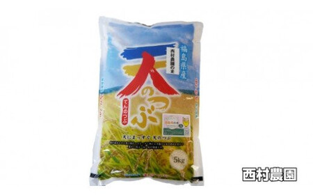 米 定期便 天のつぶ 60kg ( 5kg × 12ヶ月 ) 《 令和8年 》 福島県 大玉村 西村農園 てんのつぶ テンノツブ 精米 定期 12回