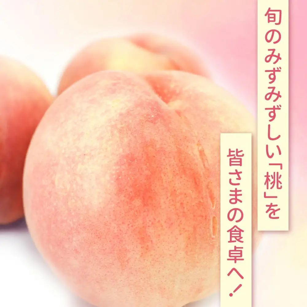 桃 晩生種 約2kg 約6玉 もも