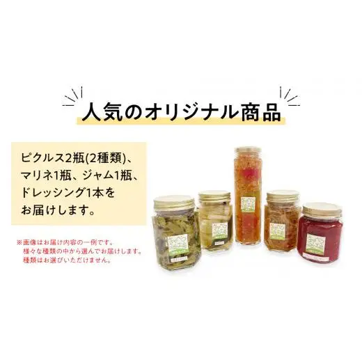 ピクルス と マリネ と ジャム と ドレッシング の 詰め合わせ [AB078tu]