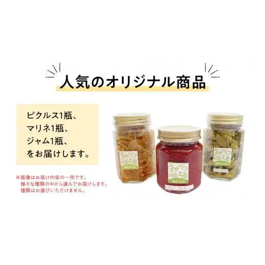 ピクルス 1種 と マリネ と ジャム の 詰め合わせ [AB079tu]