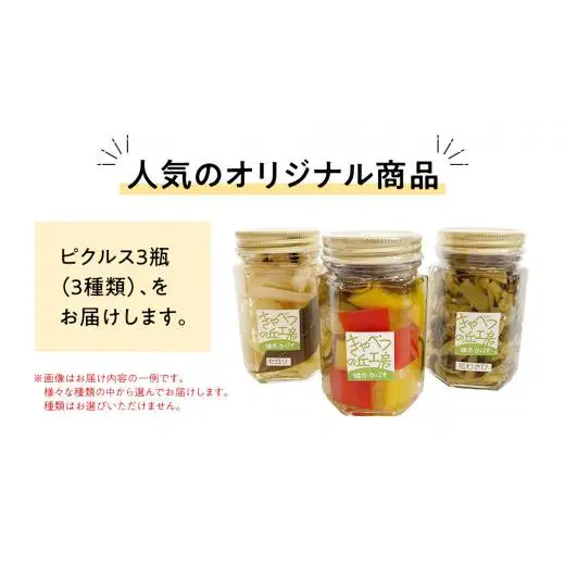 ピクルス 3種 の セット [AB080tu]