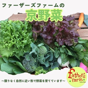 ＜ファーザーズファーム＞野菜セット 野菜