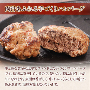 みしま特製 手ごねハンバーグ150g×10個　BI006