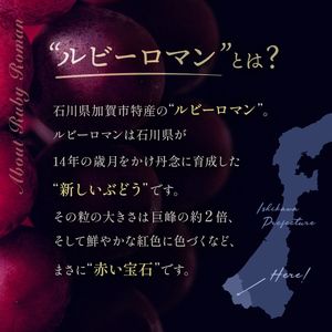 【先行予約】ルビーロマン 1房 500g（2026年8月中旬～9月上旬頃順次発送） ぶどう ブドウ 大粒 先行予約 予約 冷蔵配送 くだもの 果物 フルーツ ご当地 食品 F6P-2104