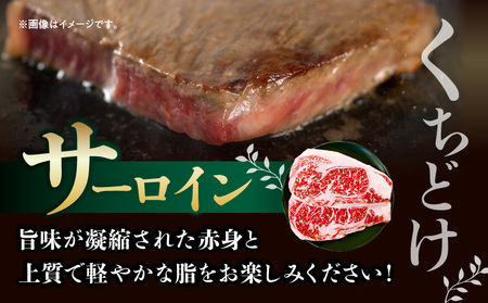 宮崎ハーブ牛サーロインステーキ 合計600g ハーブ牛 ステーキ