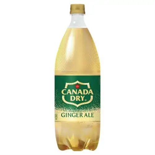 カナダドライジンジャーエール1.5LPET(6本入り)_飲料・ドリンク 炭酸飲料 ジュース _【1518352】