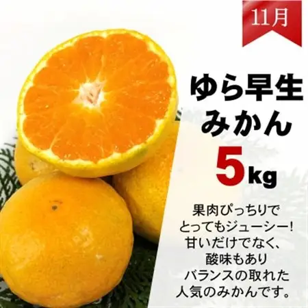 【発送月固定定期便】みかん好きのためのみかん定期便(ゆら早生みかん・完熟みかん)　各5kg　全2回【配送不可地域：離島・北海道・沖縄県】【4052463】