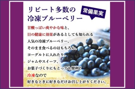 冷凍ブルーベリー 335g ブルーベリー ぶるーべりー フルーツ 果物 果実 産地直送 ZS-528