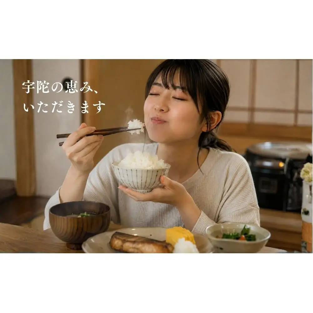 にじのきらめき 特別栽培米 5kg／ あかひと農園 米 白米 新米 精米 米 白米 精米 令和7年産 R7 2025年産 奈良県 宇陀市 あかひと米