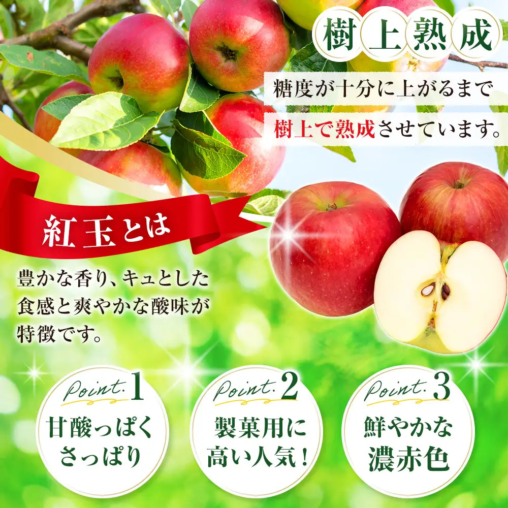 フルーツファーム中村農園　【9月中旬発送 先行予約】樹上熟成　紅玉 3kg | りんご 紅玉  加工用