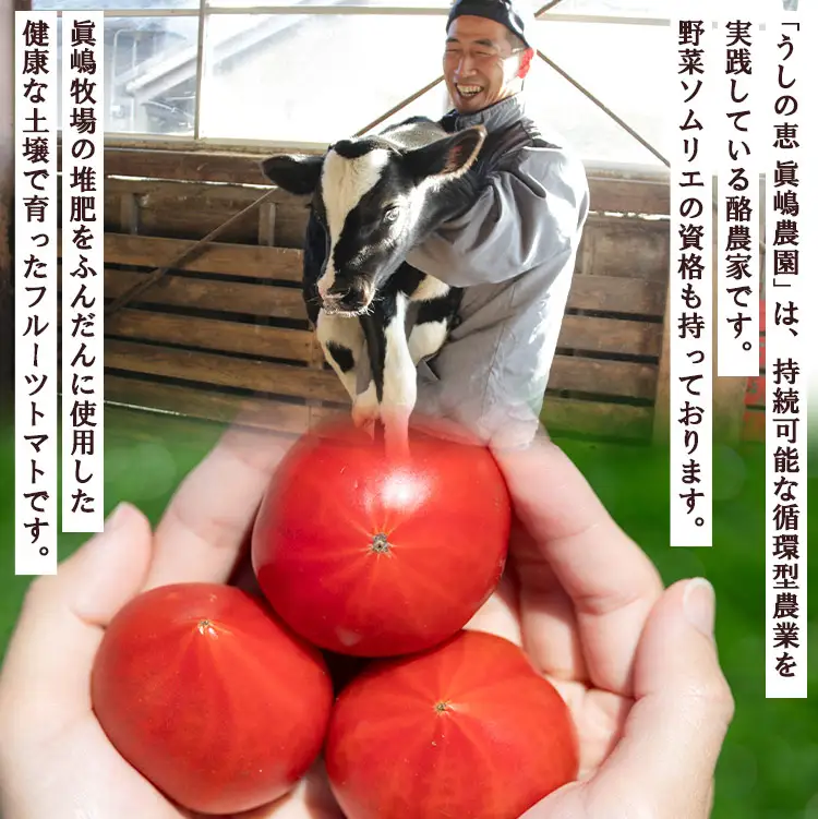 【先行受付】野菜ソムリエが育てた 家庭用 フルーツトマト 合計3kg(500g×6袋) 甘い 高知 うしの恵 小分け - 野菜 とまと 産地直送 料理 アレンジ サラダ 完熟 甘い あまい フレッシュ さっぱり 酸味 うしの恵 小分け おいしい 国産 高知県 香南市 mj-0030