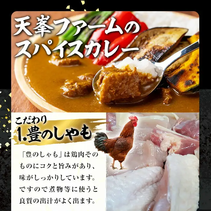 大分地鶏豊のしゃも地鶏出汁スパイスカレー3種セット(合計540g・180g×3パック)レトルト 簡単調理 ご当地カレー【112400202】【天峯ファーム】