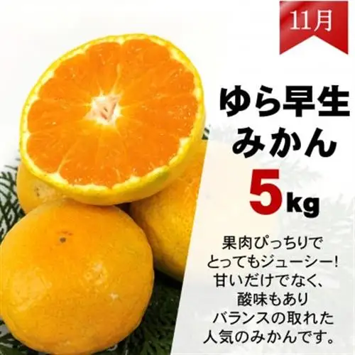 【発送月固定定期便】ご家庭用 2種のみかん定期便 (ゆら早生みかん・完熟みかん)各約5kg全2回【配送不可地域：離島・北海道・沖縄県】【4052396】