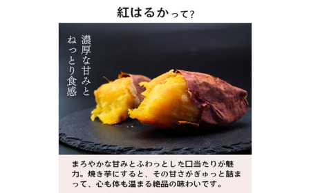 【焼き芋】ねっとり甘い 紅はるかの冷凍石焼き芋3kg | 焼いも 茨城県 龍ケ崎市