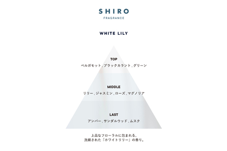 SHIRO　ホワイトリリー ボディケアキット