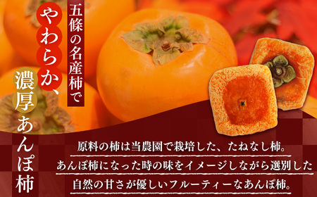 【なら育ち 益田農園】あんぽ柿 3 玉入り 5 パック｜フルーツ 果物くだもの 柿 かき カキ あんぽ 柿 奈良県 五條市