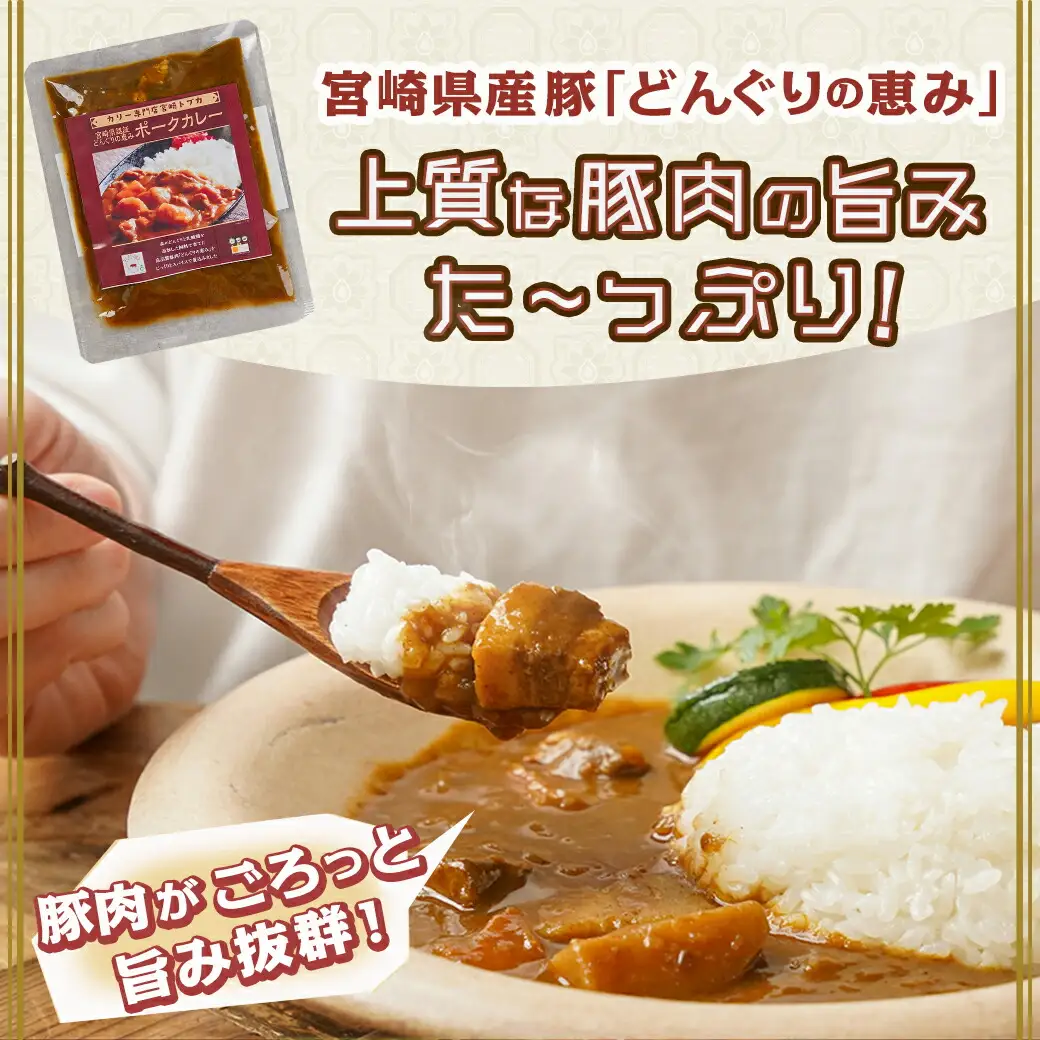 トプカ☆どんぐりの恵みポークカレー5食セット※ポスト投函〔LD-J903〕_(都城市) カレー専門店 手づくり ポークカレー レトルト ポスト投函