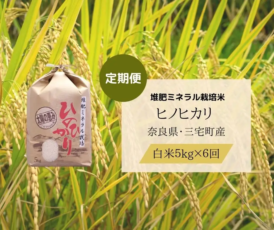 【6回定期便】ひのひかり 白米 5kg×6回 全30kg 奈良県 三宅町 ヒノヒカリ 志埜米穀店