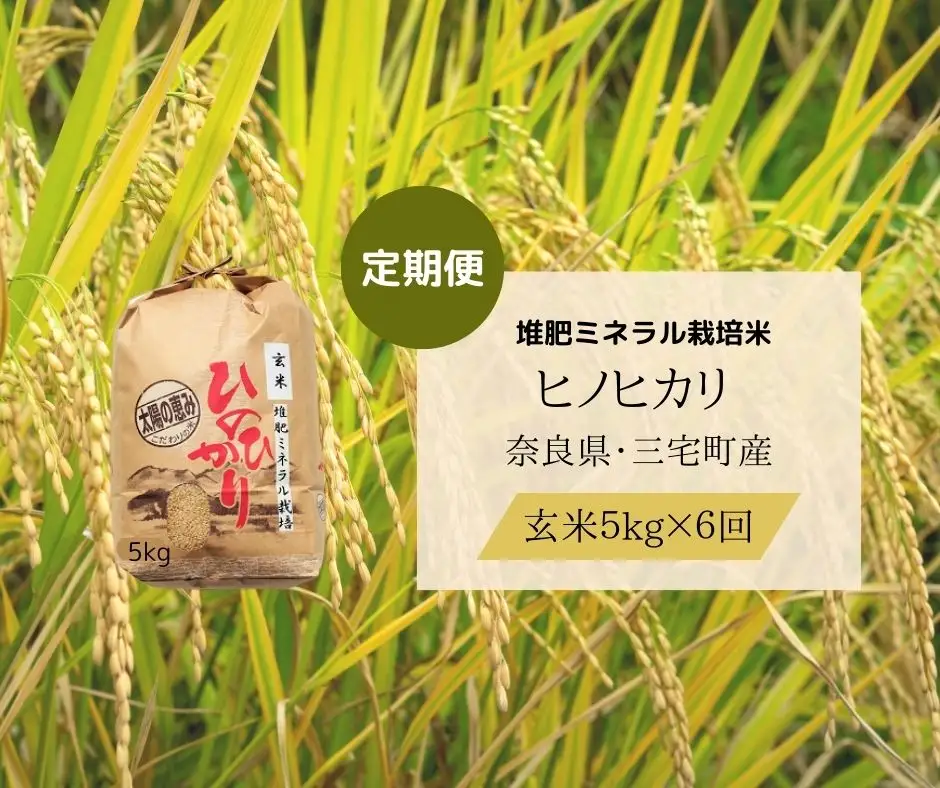 【6回定期便】ひのひかり 玄米 5kg×6回 全30kg 奈良県 三宅町 ヒノヒカリ 志埜米穀店