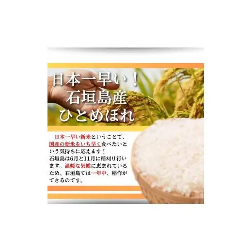 【石垣島産ひとめぼれ】日本最南端の日本一早い新米・10kg　SI-59-1