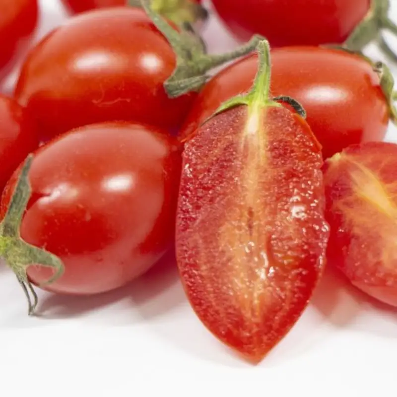 ミニトマト アイコ (松トマト） 約2kg（S・M・Lサイズおまかせ）【4月発送】【sml131A-4】