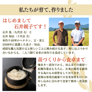 コシヒカリ 精米 5kg 弥彦村 石井農園 白米 | コシヒカリ 新潟県 令和7年産