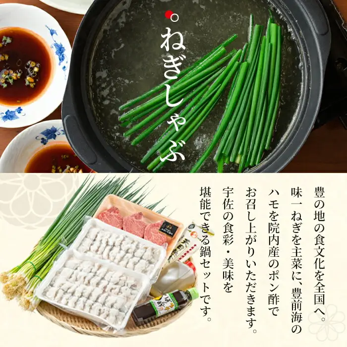 ねぎしゃぶ(鱧はも)＋ヒレステーキセット(6品) ねぎしゃぶ しゃぶしゃぶ 鱧 はも 鍋 お鍋 和牛 ヒレステーキ セット【101500602】【菊水旅館】