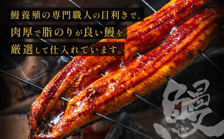 AA277.うなぎ蒲焼き（約100g×4Pセット）