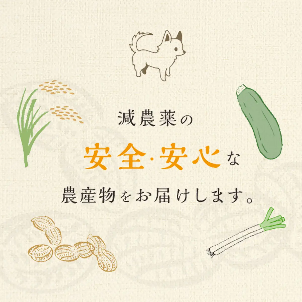 【先行予約】【11月上旬から発送】落花生・Ｑなっつのやわらか甘納豆（110ｇ）1個、落花生・Qなっつの香ばしピーナッツペースト（130ｇ）1個セット SMAH007／ふるさと納税 甘納豆 ピーナッツ ナッツ 豆 落花生 ペースト千葉県 山武市 千葉県産