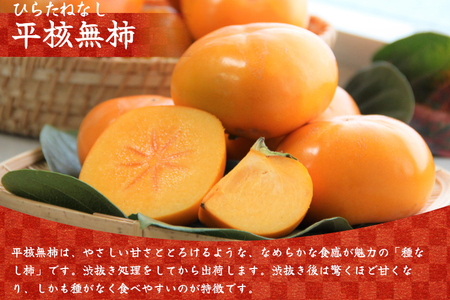 種無し柿（平核無柿）約2kg / 奈良県農業協同組合 フルーツ かき 果物 種無し 奈良県 御所市 