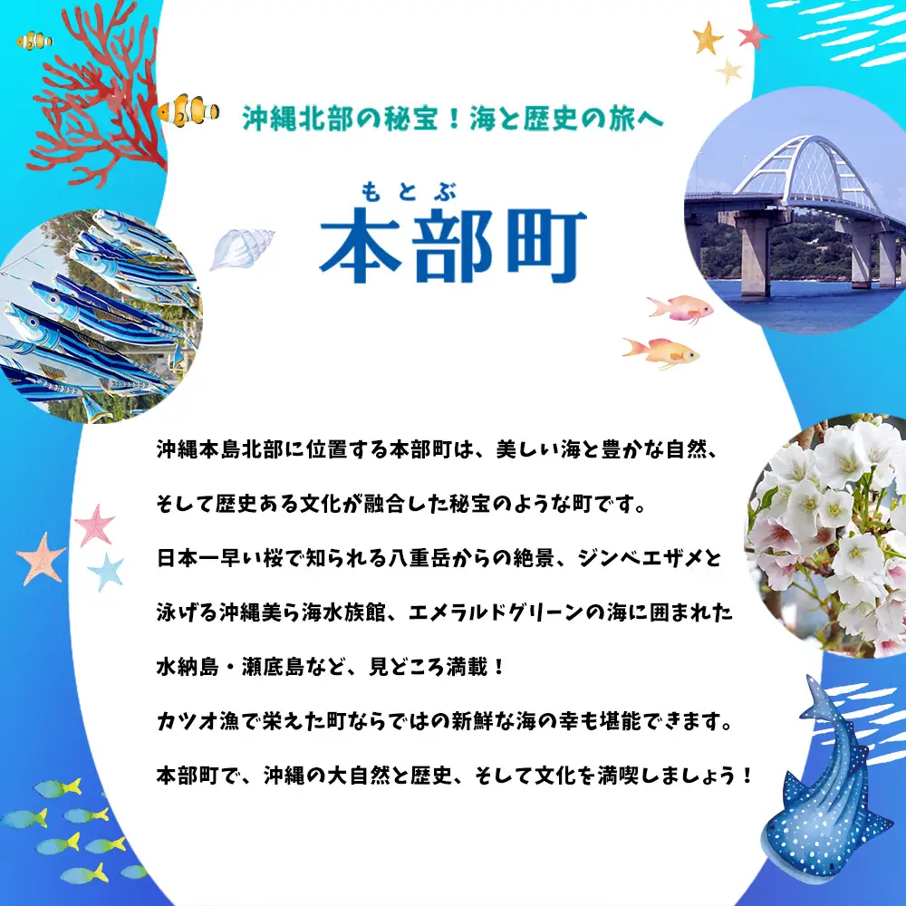 【沖縄県本部町】HISふるさと納税旅行クーポン 60,000円分