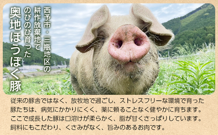 ＜奥地ほうぼく豚を使ったおつまみ3種セット＞豚肉 ぶた お肉 加工品 おつまみ おかず ペッパーウインナー ベーコン ブロック パストラミスライス ロース肉 詰合せ BBQ アウトドア キャンプ サラダ 愛媛県 西予市 【冷蔵】『4か月以内に順次出荷予定』MNP0007