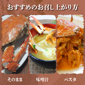 訳あり ボイル ワタリガニ 1kg ( 3~4杯 ) 茹で 愛知県 南知多町 人気 おすすめ 【離島不可】