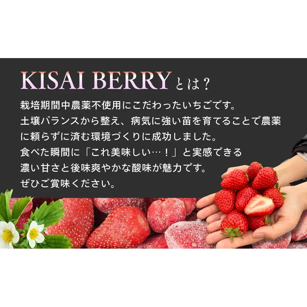 KISAI GARDEN 冷凍 KISAI BERRY 2kg | 苺 いちご イチゴ 徳島 鳴門 果物 フルーツ スムージー ジャム　冷凍　いちご