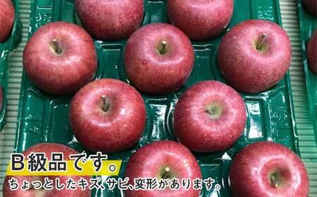 【令和8年産先行予約】 〈訳あり品 家庭用〉 りんご 「サンふじ」 約10kg (26～36玉) パック詰め 《令和8年11月中旬～発送》 『マルタニ農園』 リンゴ 山形県 南陽市 [1915]