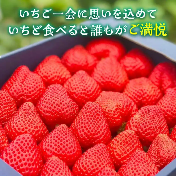 【先行予約】津田くん農園のあまおう 1kg VDG001 あまおう