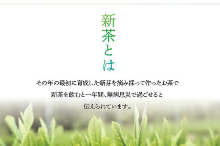 【予約返礼品/2025年5月以降順次発送】新茶 八女星野茶 100g×3本 緑茶 八女茶 お茶 茶葉 セット お取り寄せグルメ お取り寄せ 福岡 お土産 九州 福岡土産 取り寄せ グルメ 福岡県
