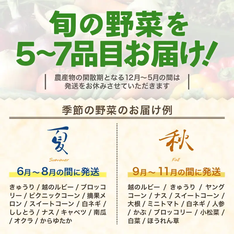 【1週間以内で発送！】道の駅駅長チョイス！ 旬の野菜セット 5品目以上 / 季節 野菜 ボックス BOX セット セレクト 農家 おまかせ 多品目 旬 詰め合わせ 根菜 葉物  [aw090-a002]